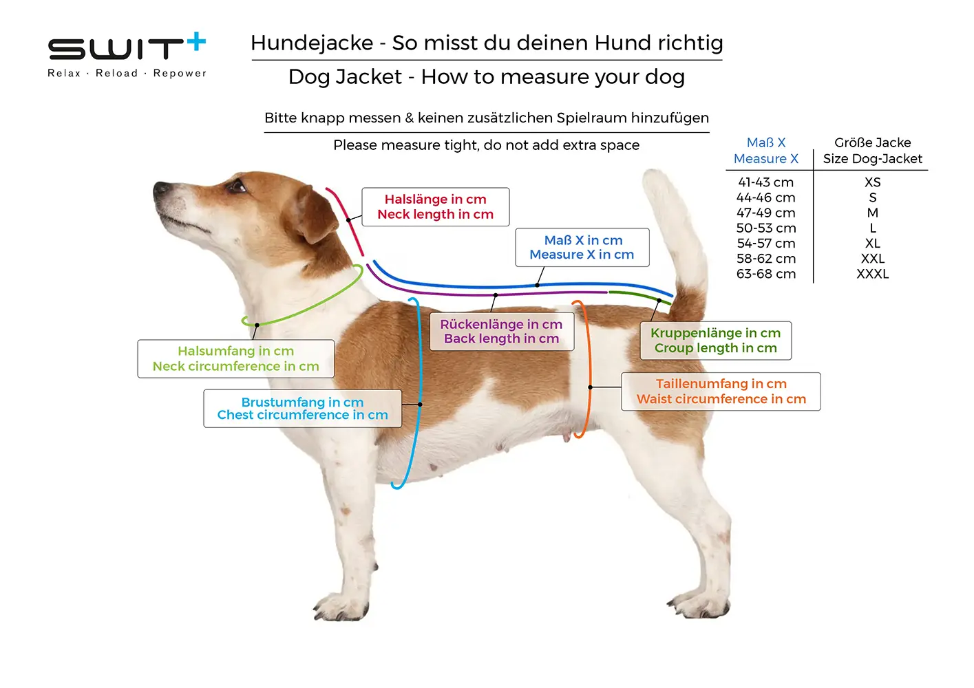 So misst du deinen Hund richtig für die SWIT® Hundejacke – illustrierte Messanleitung mit beschrifteten Körperbereichen.