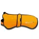 First Place Orange