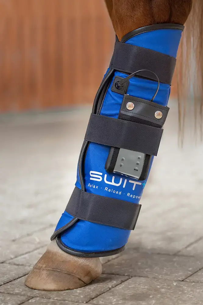 SWIT® Fesselgelenkgamaschen mit Neurobalance-System für Pferde – gezielte Gelenkunterstützung.