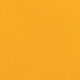 First Place Orange